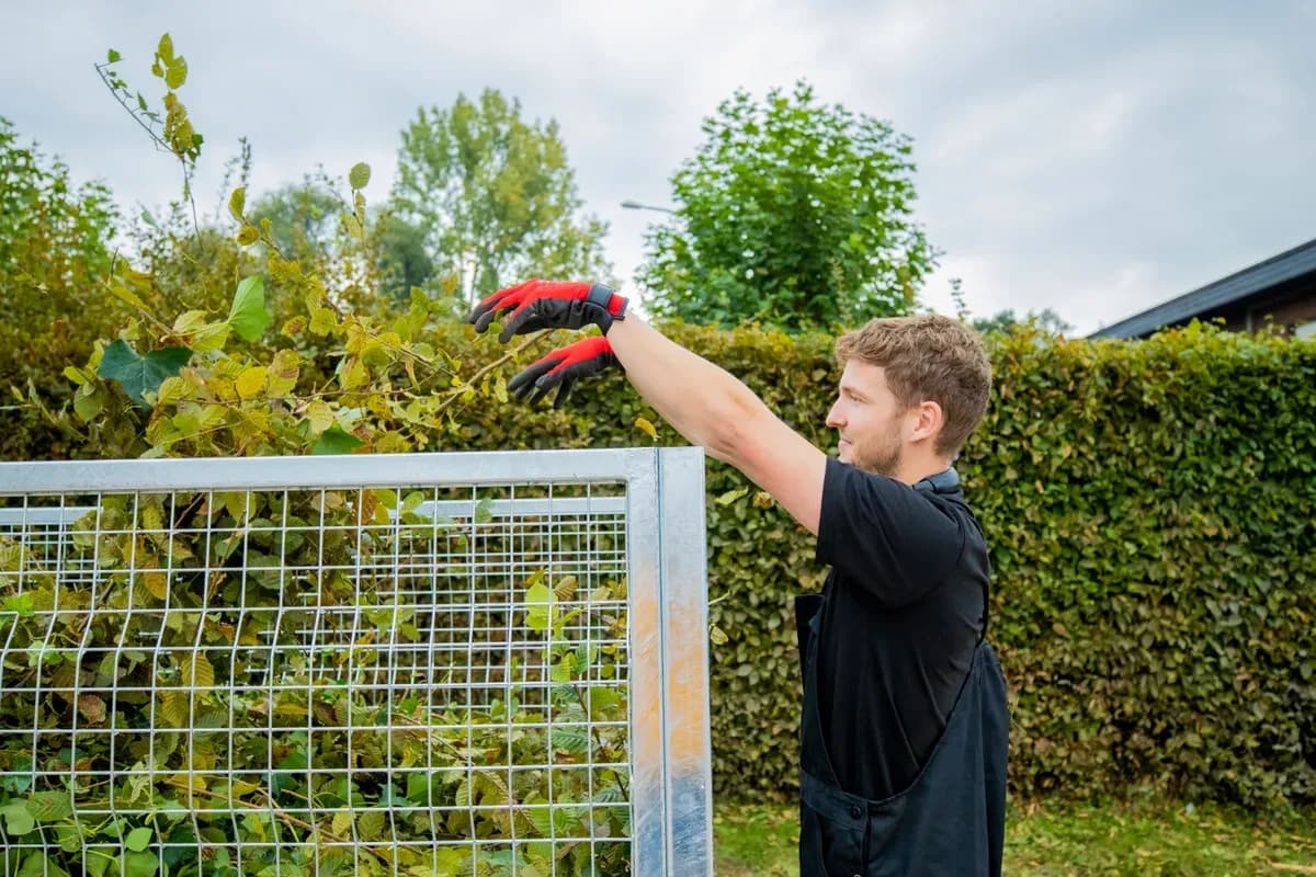 Évacuation de déchets verts